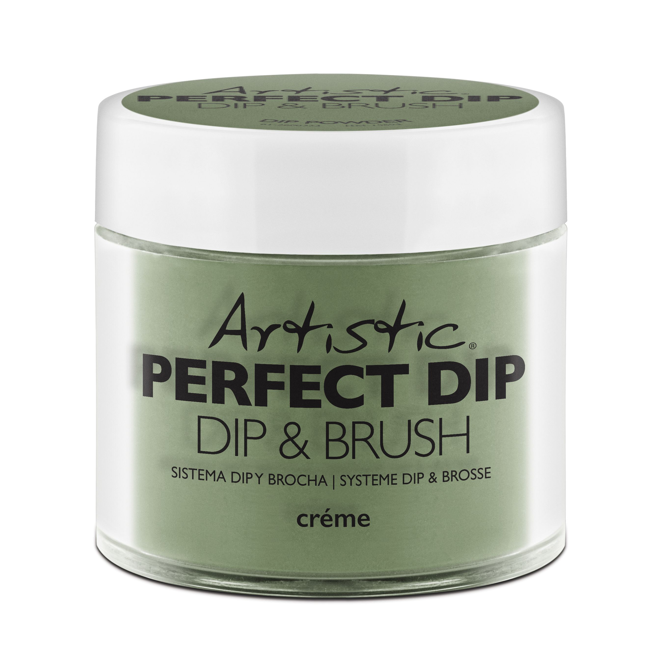 Artistic Perfect Dip Colored Powders Don't Wake Me Up