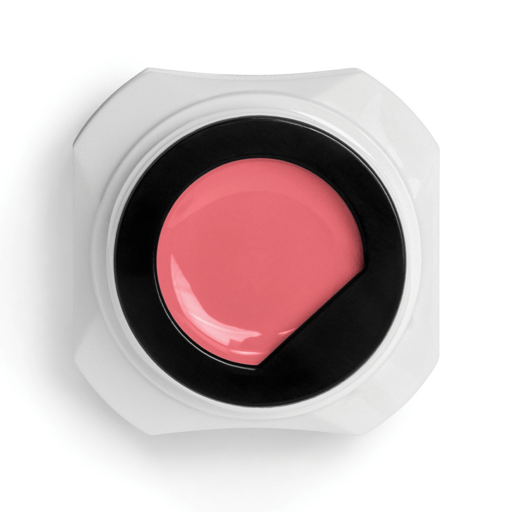Art Form Pastel Coral