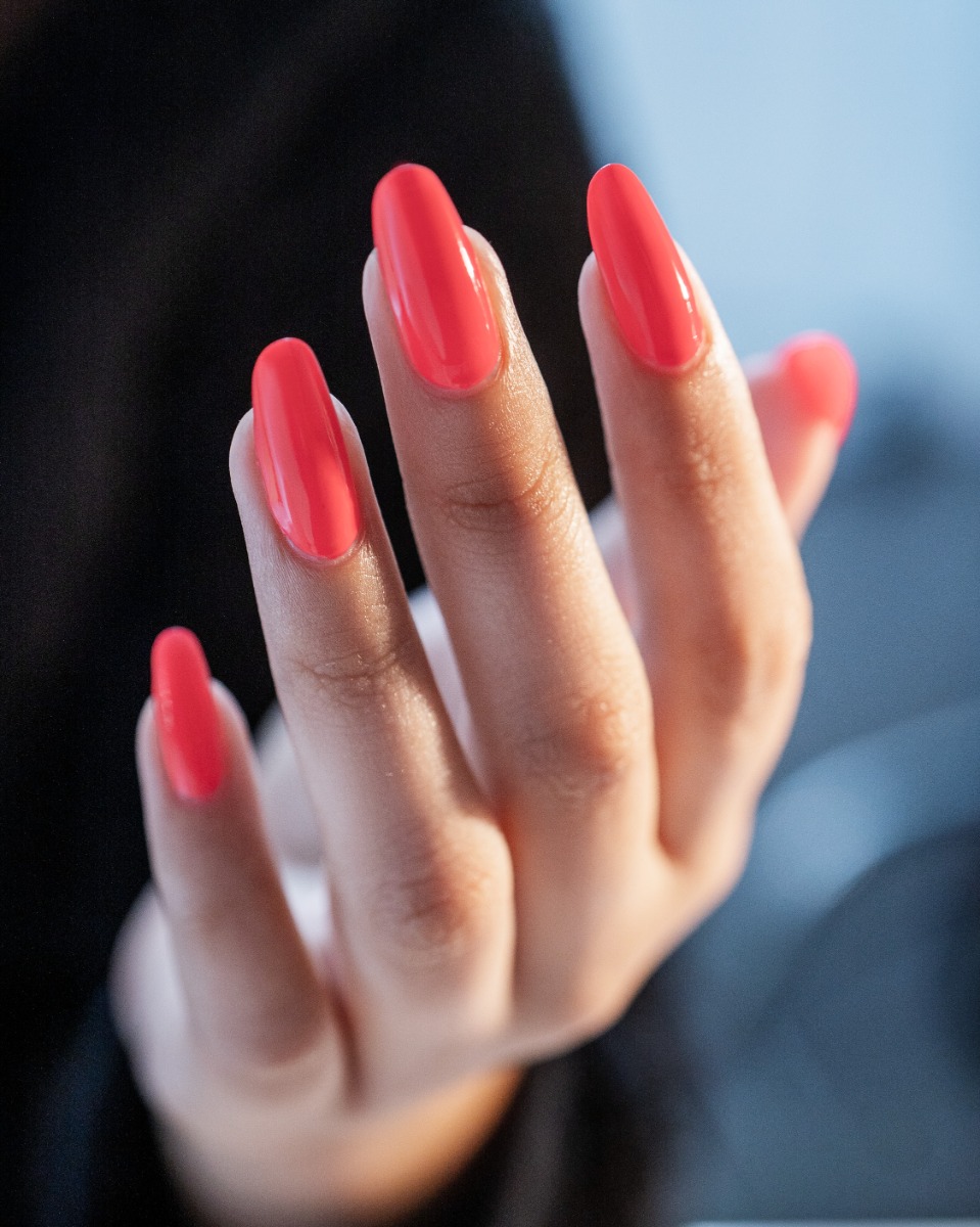 Brights Have More Fun